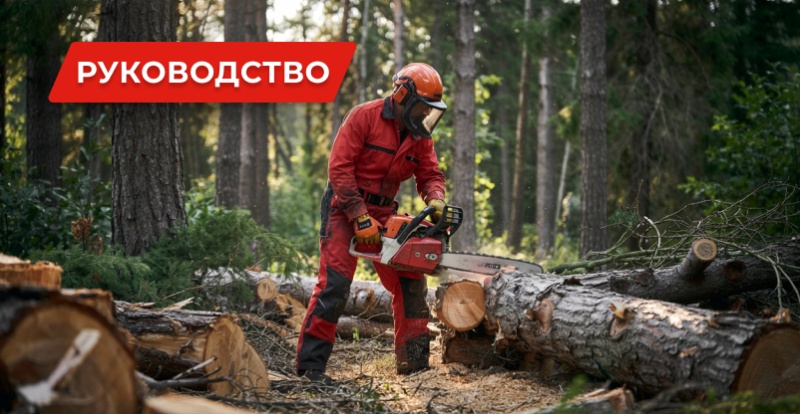 Не заводится бензопила: Причины, Проблемы, Решения